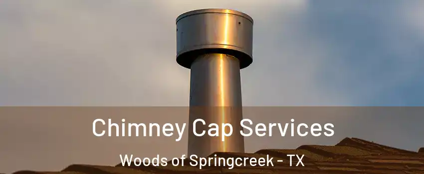 Chimney Cap Services Woods of Springcreek - TX