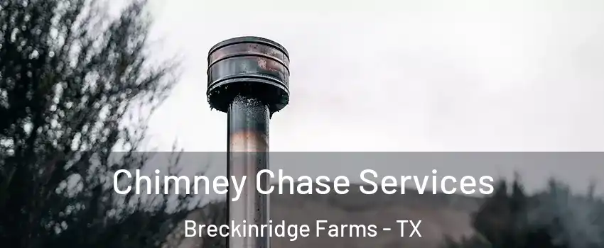Chimney Chase Services Breckinridge Farms - TX