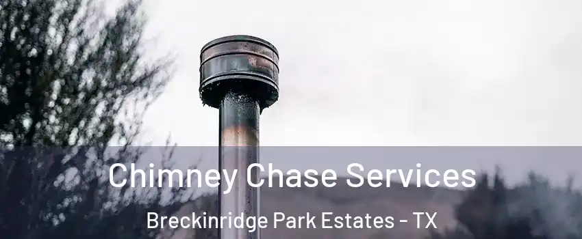 Chimney Chase Services Breckinridge Park Estates - TX