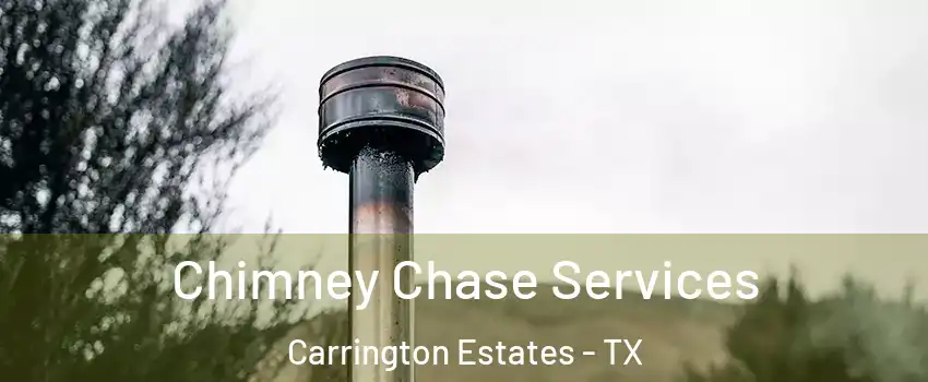 Chimney Chase Services Carrington Estates - TX