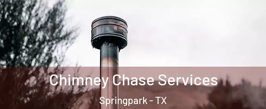 Chimney Chase Services Springpark - TX