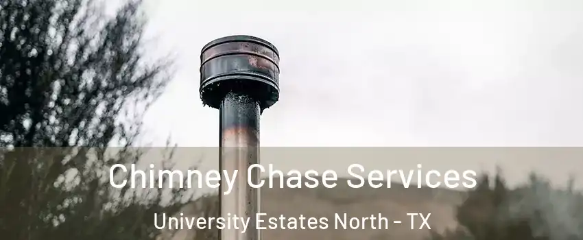 Chimney Chase Services University Estates North - TX