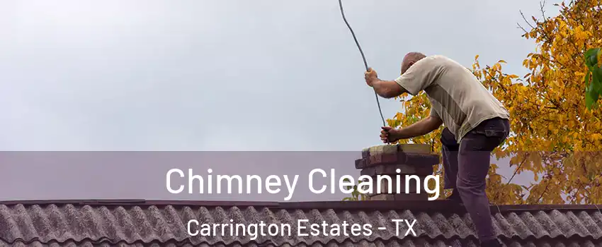 Chimney Cleaning Carrington Estates - TX