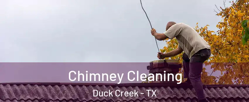Chimney Cleaning Duck Creek - TX