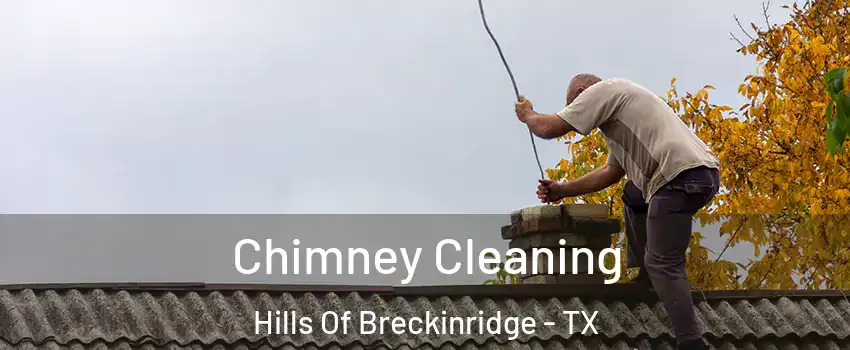 Chimney Cleaning Hills Of Breckinridge - TX