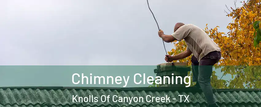 Chimney Cleaning Knolls Of Canyon Creek - TX