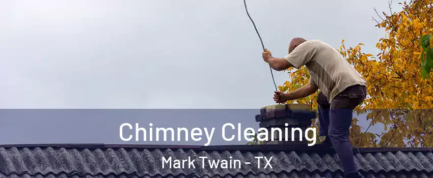 Chimney Cleaning Mark Twain - TX
