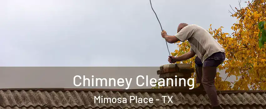 Chimney Cleaning Mimosa Place - TX