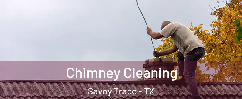 Chimney Cleaning Savoy Trace - TX