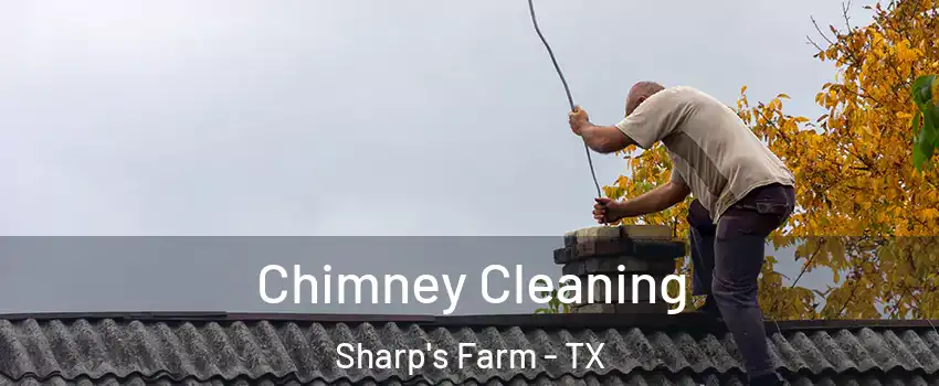 Chimney Cleaning Sharp's Farm - TX