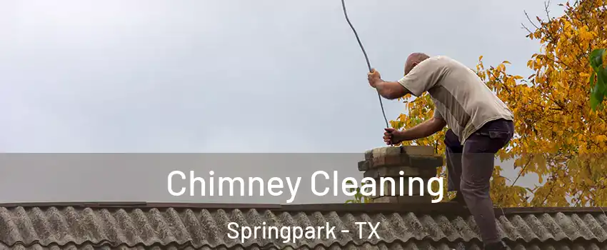 Chimney Cleaning Springpark - TX