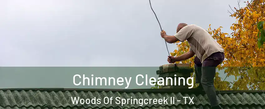 Chimney Cleaning Woods Of Springcreek II - TX