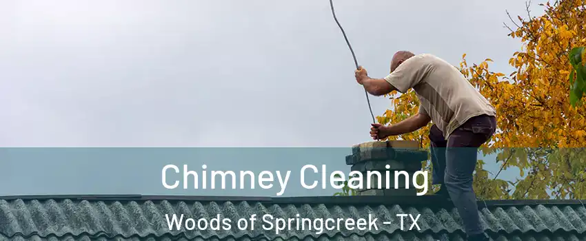 Chimney Cleaning Woods of Springcreek - TX