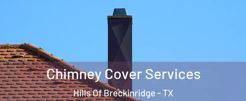 Chimney Cover Services Hills Of Breckinridge - TX