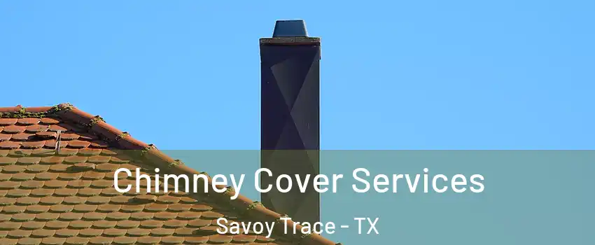 Chimney Cover Services Savoy Trace - TX