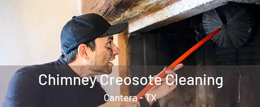 Chimney Creosote Cleaning Cantera - TX