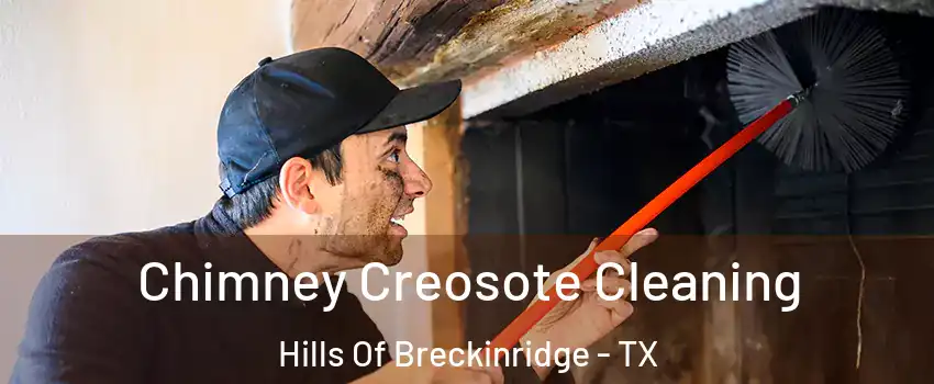 Chimney Creosote Cleaning Hills Of Breckinridge - TX