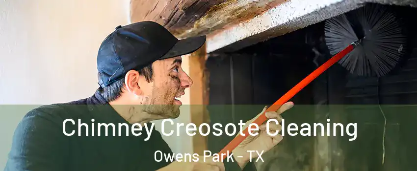 Chimney Creosote Cleaning Owens Park - TX
