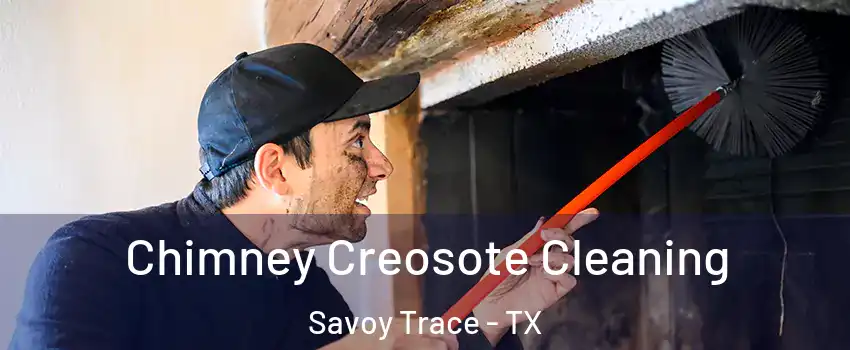 Chimney Creosote Cleaning Savoy Trace - TX