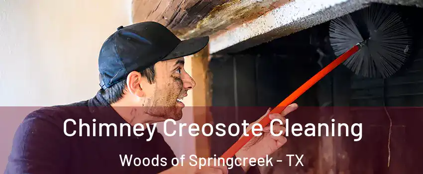 Chimney Creosote Cleaning Woods of Springcreek - TX