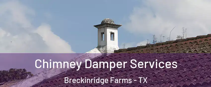 Chimney Damper Services Breckinridge Farms - TX
