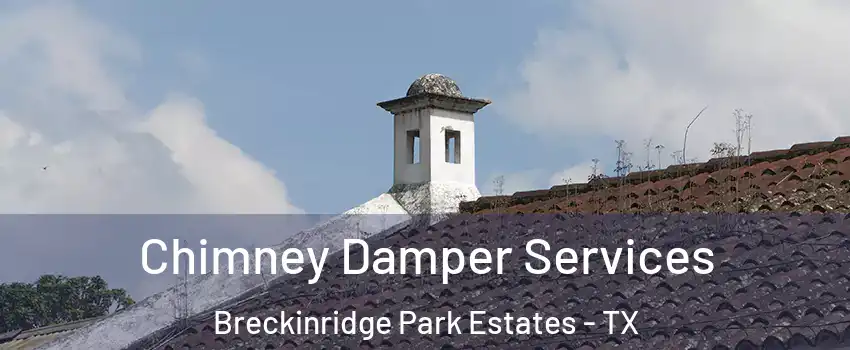 Chimney Damper Services Breckinridge Park Estates - TX