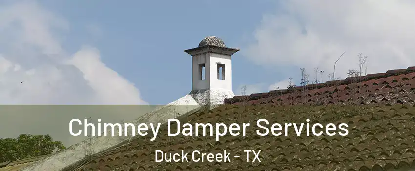 Chimney Damper Services Duck Creek - TX