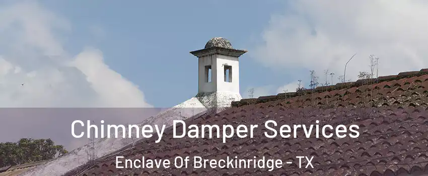 Chimney Damper Services Enclave Of Breckinridge - TX