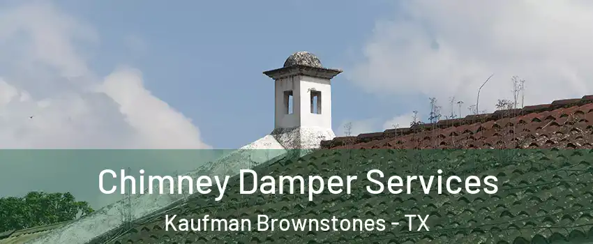 Chimney Damper Services Kaufman Brownstones - TX