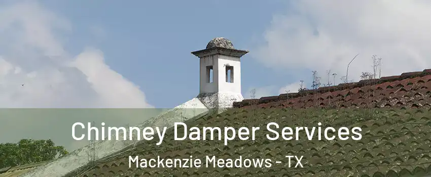 Chimney Damper Services Mackenzie Meadows - TX