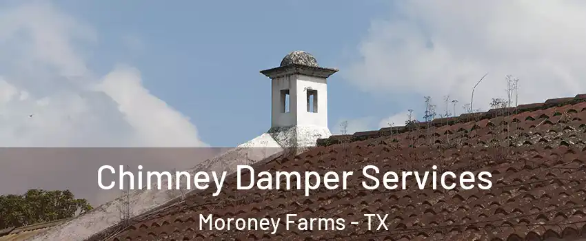Chimney Damper Services Moroney Farms - TX