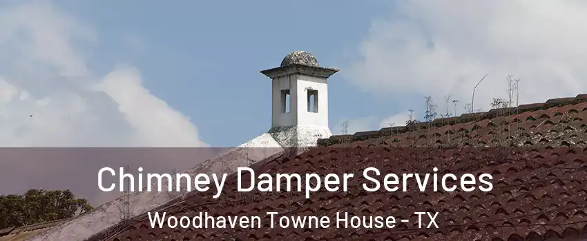 Chimney Damper Services Woodhaven Towne House - TX