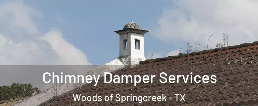 Chimney Damper Services Woods of Springcreek - TX