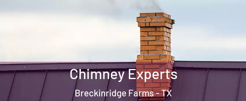 Chimney Experts Breckinridge Farms - TX
