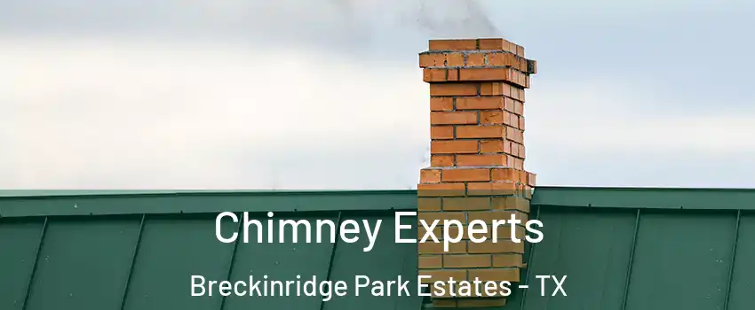 Chimney Experts Breckinridge Park Estates - TX