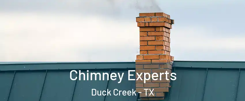 Chimney Experts Duck Creek - TX