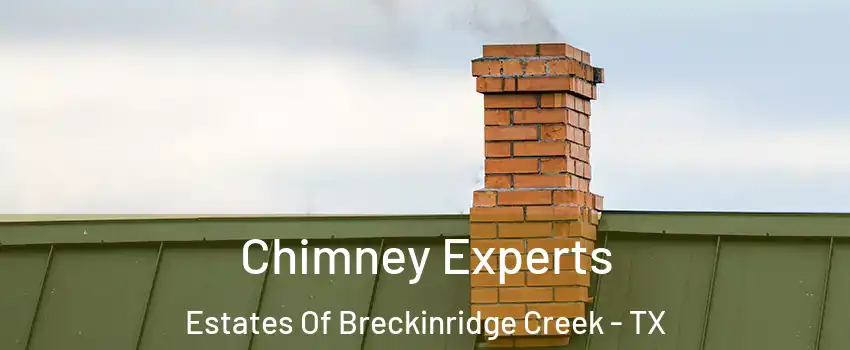 Chimney Experts Estates Of Breckinridge Creek - TX