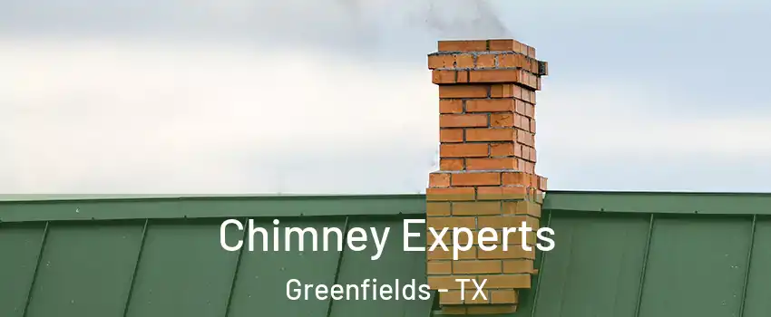 Chimney Experts Greenfields - TX