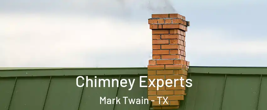 Chimney Experts Mark Twain - TX