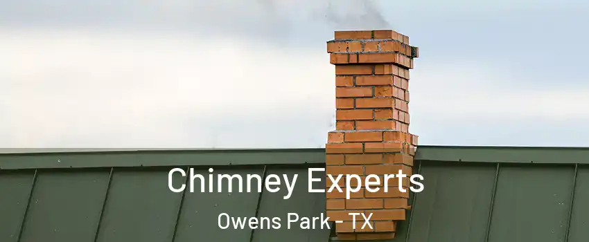 Chimney Experts Owens Park - TX