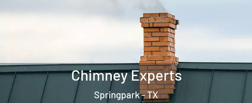 Chimney Experts Springpark - TX