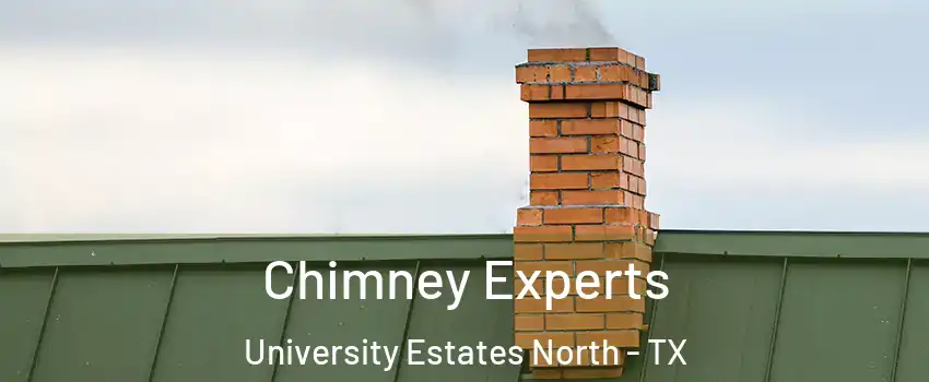 Chimney Experts University Estates North - TX