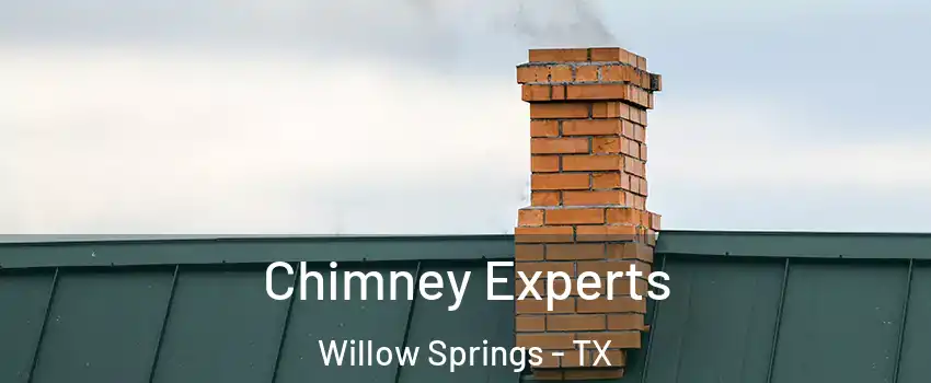 Chimney Experts Willow Springs - TX