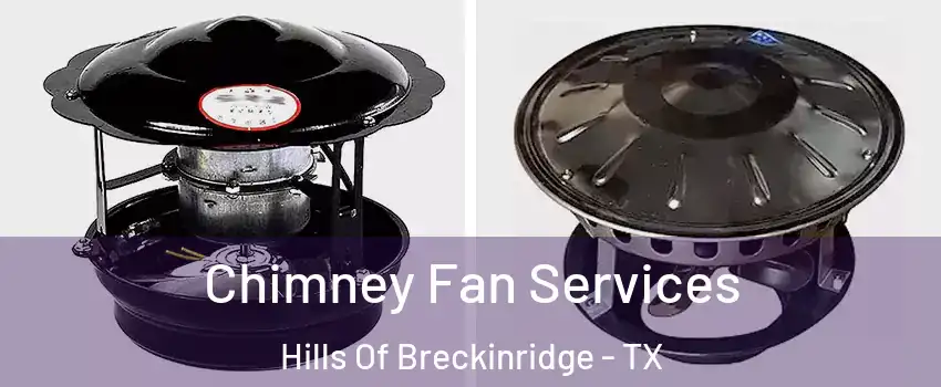 Chimney Fan Services Hills Of Breckinridge - TX