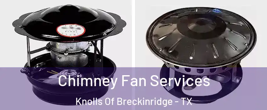 Chimney Fan Services Knolls Of Breckinridge - TX