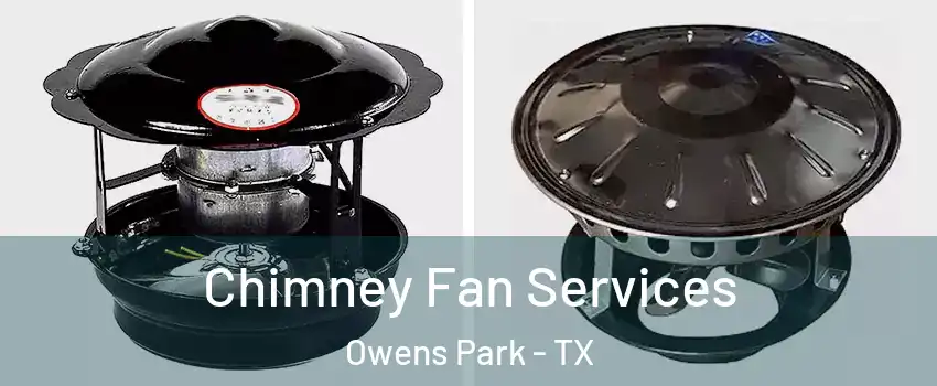 Chimney Fan Services Owens Park - TX
