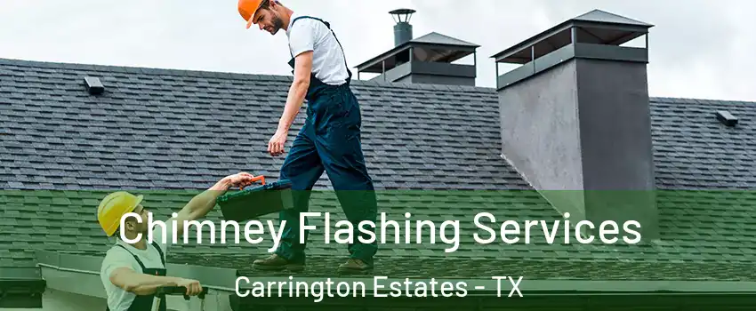 Chimney Flashing Services Carrington Estates - TX