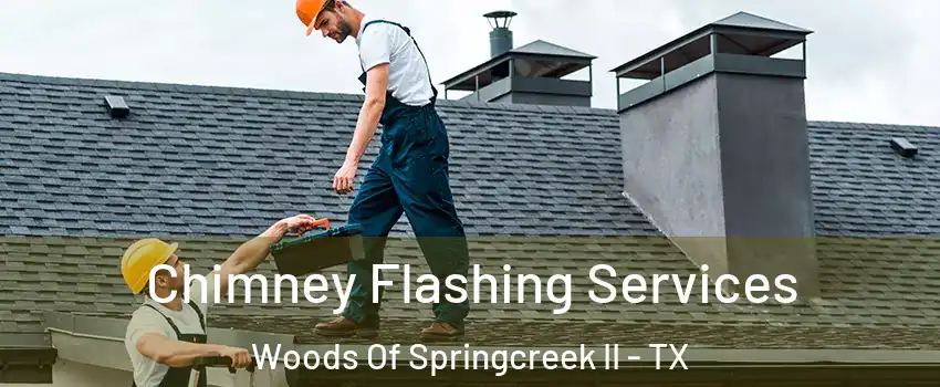 Chimney Flashing Services Woods Of Springcreek II - TX