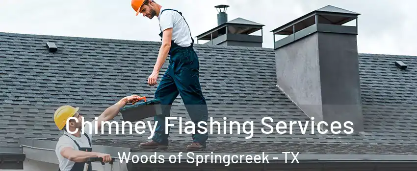 Chimney Flashing Services Woods of Springcreek - TX