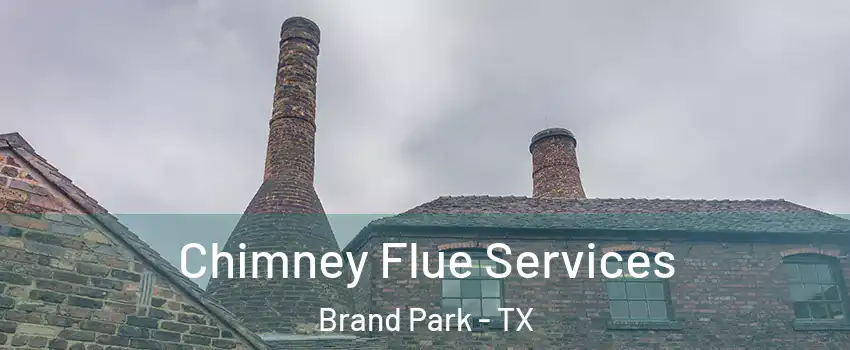 Chimney Flue Services Brand Park - TX